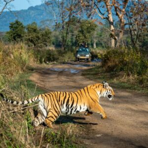 Corbett Ranikhet Nainital Wildlife Trip- 6 Nights & 7 Days