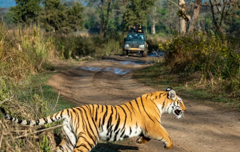 Corbett Ranikhet Nainital Wildlife Trip- 6 Nights & 7 Days