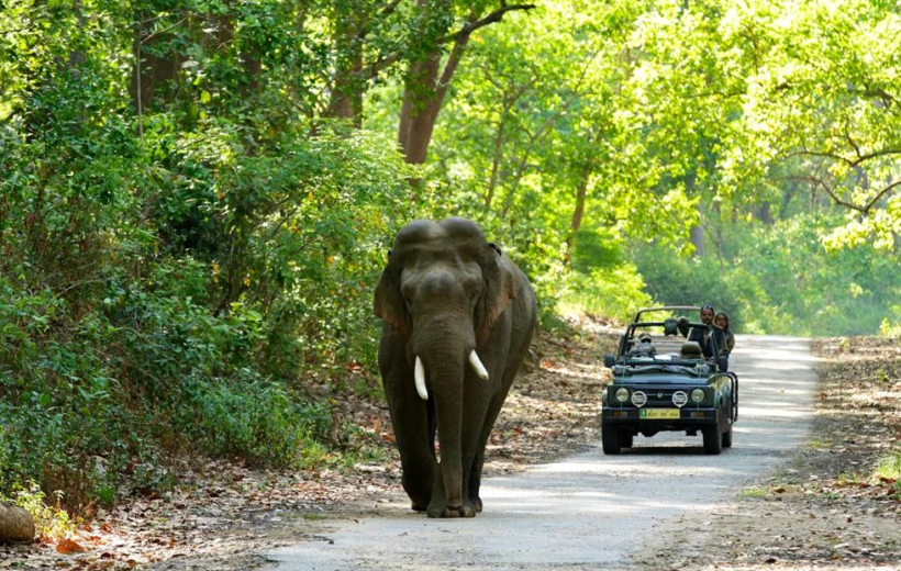 Nainital With Jim Corbett Wildlife Trip- 4 Nights & 5 Days